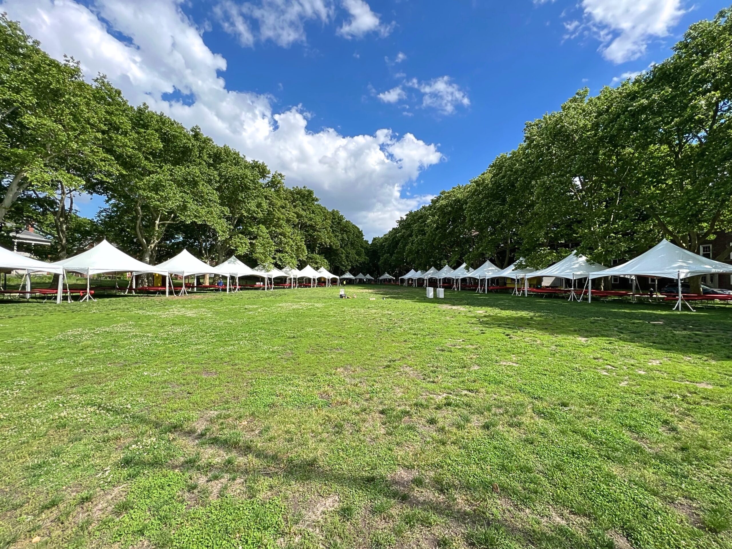 Experience the Vibrant Spirit of New York Metropolitan Area Festivals